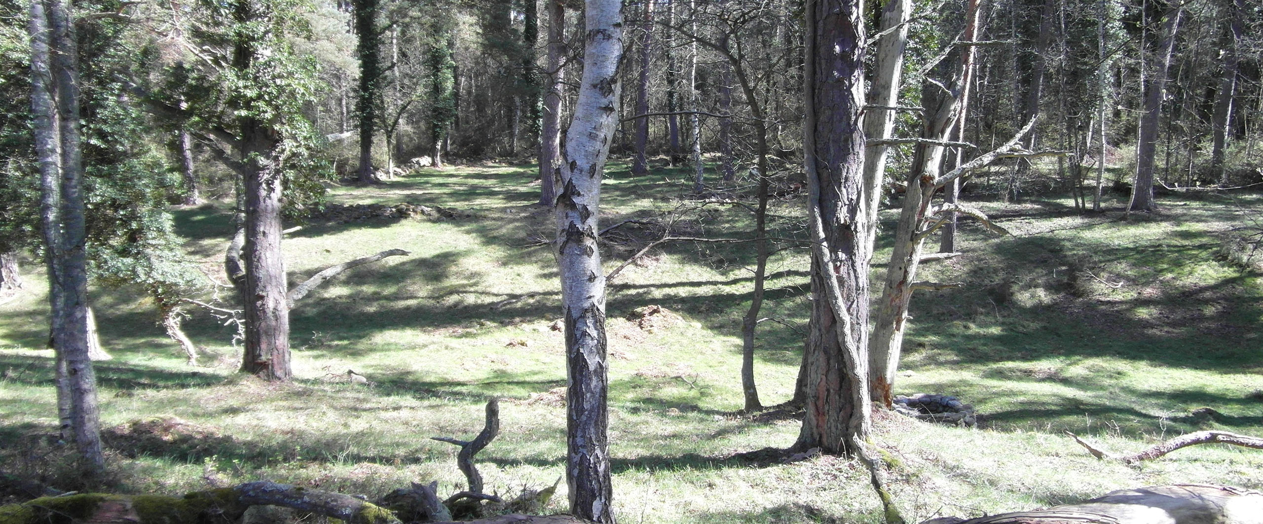 Vy över Hjerteskeppet