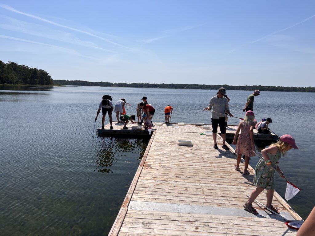 Håva vid bryggan