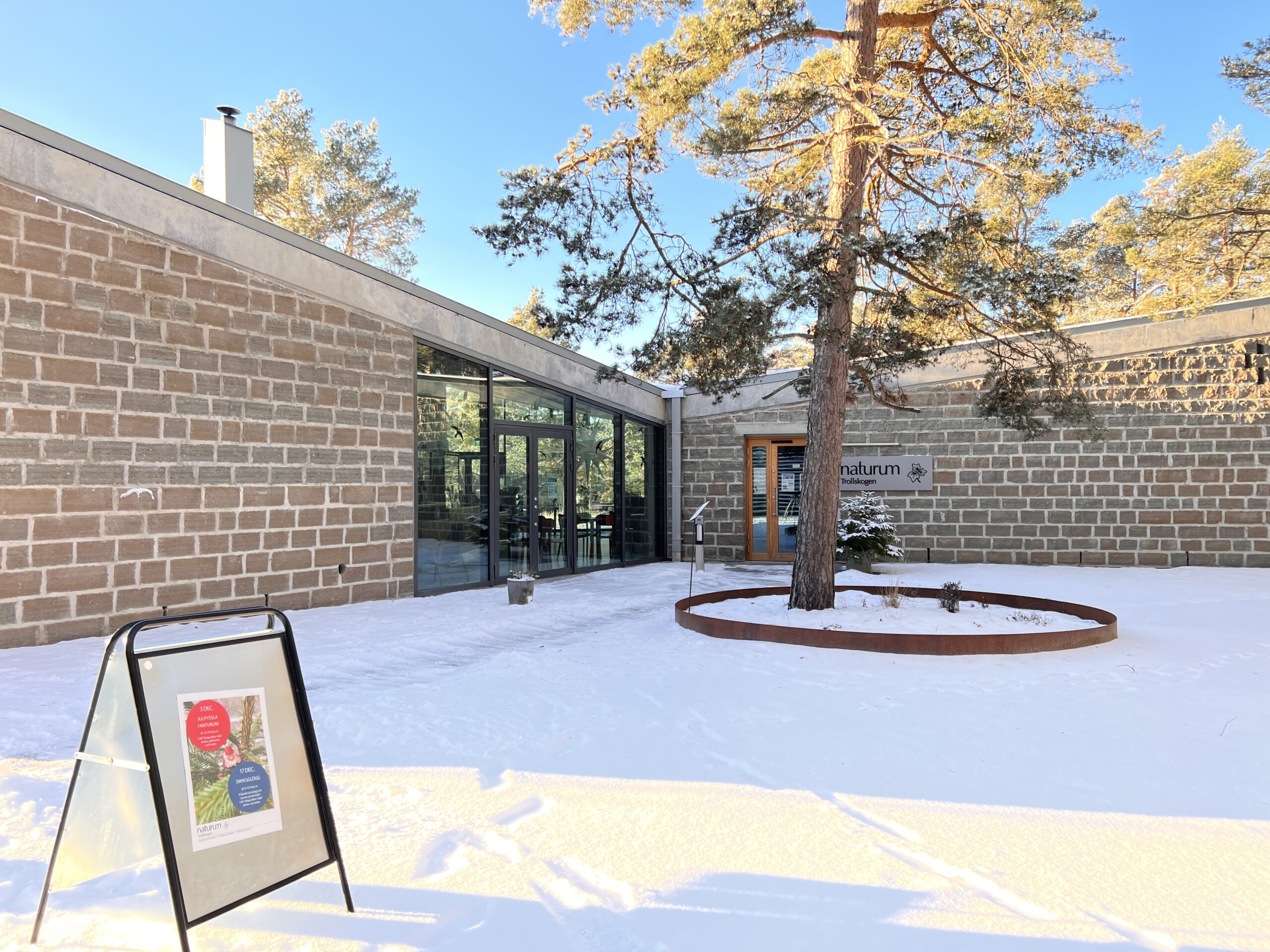 naturumentré vinter