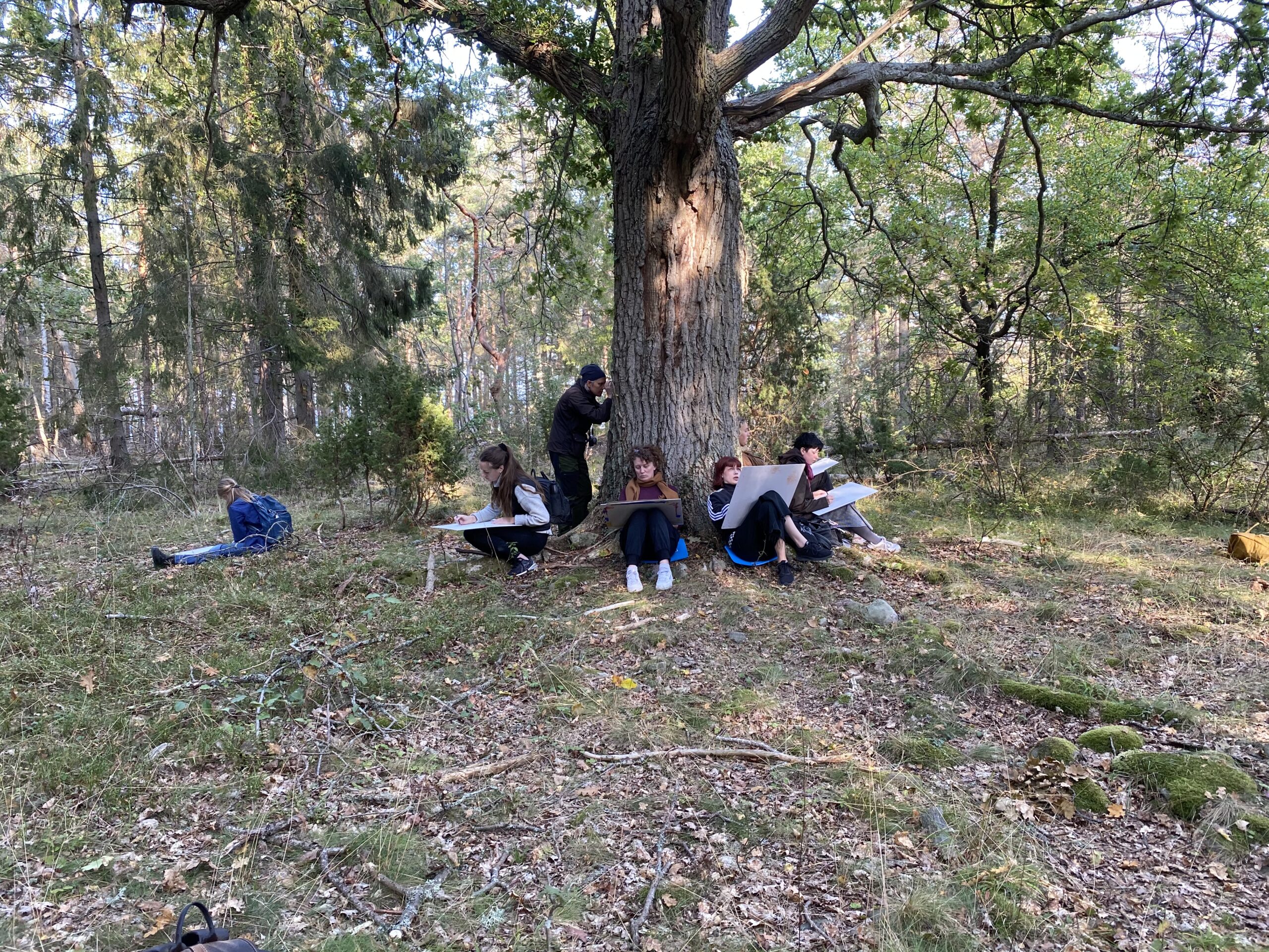 upptäck trollskogen som en konstnär