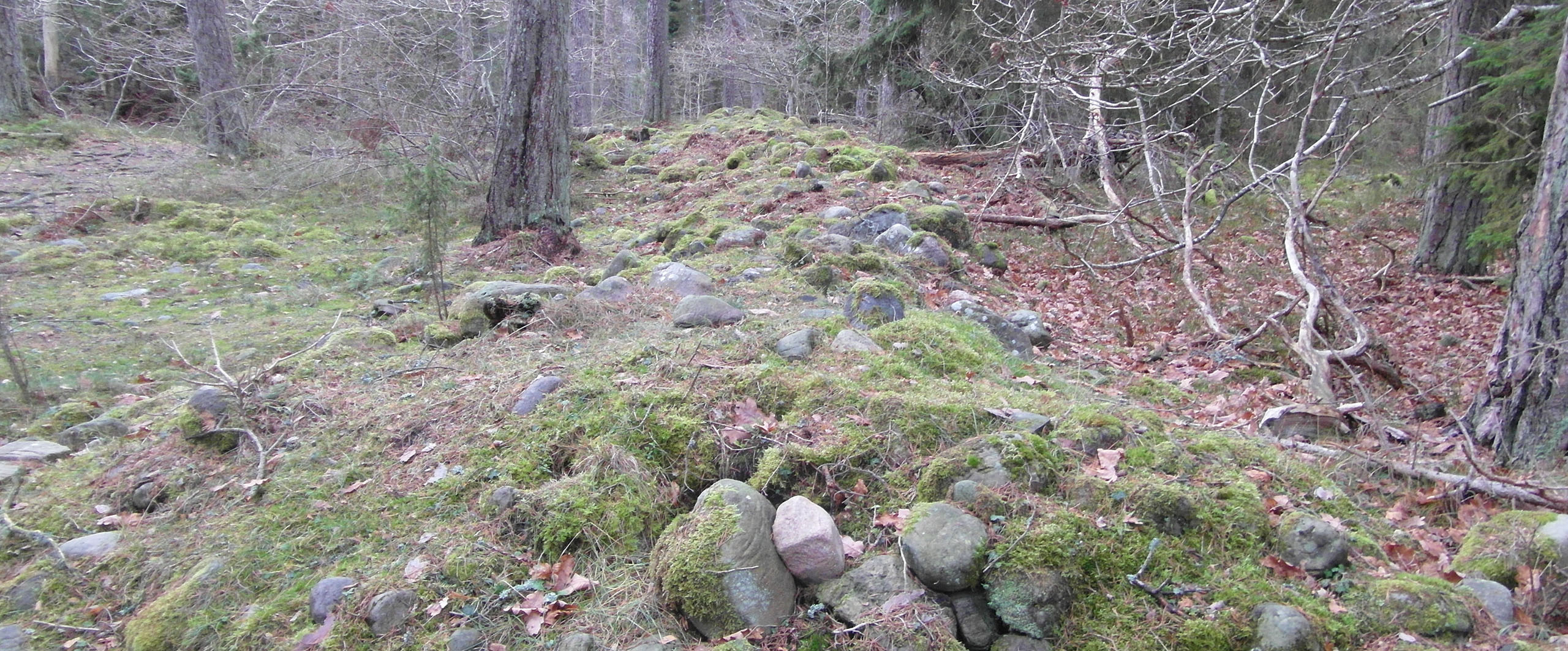 Muren som delade av Trollskogsudden.