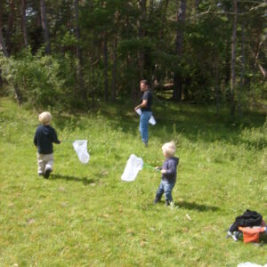 Barn som håvar efter insekter