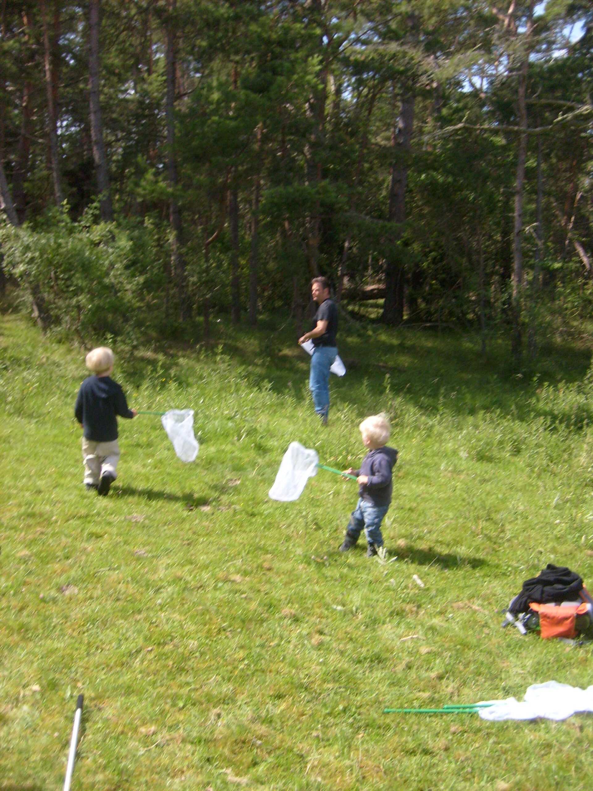 Barn som håvar efter insekter
