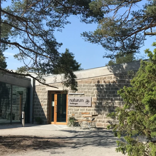 🌳🐾🌲 M A J 🌼 Välkomna till naturum tisdag - fredag kl. 11-16 och lördag kl. 12-15 denna veckan. 🌱 Rundabordetguidning på fredag kl. 11 💻 Boka din plats och läs mer om naturum Trollskogen på www.naturumtrollskogen.se🐾🌳🌲

#naturumtrollskogen #naturum #maj #öppetimaj #rundabordetguidning #norraöland #öland #thisisöland #visitöland #öbilden
